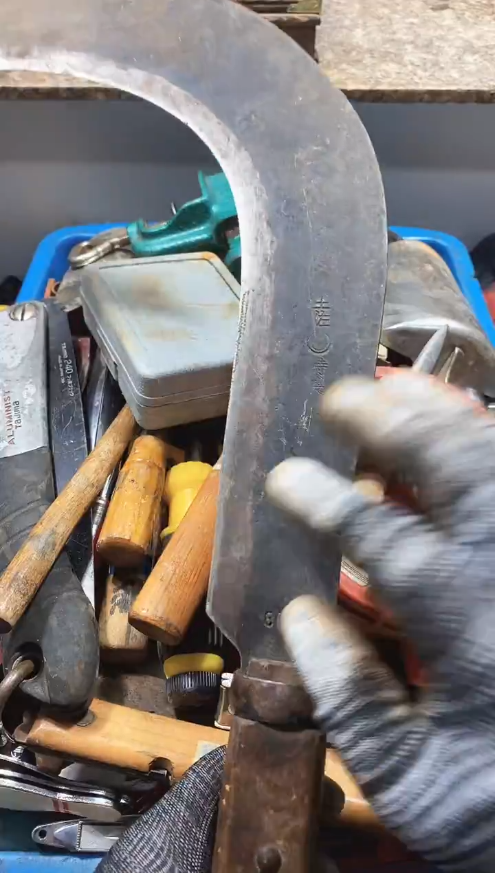 蓝*麻嘎子工具闪购链接一物一拍