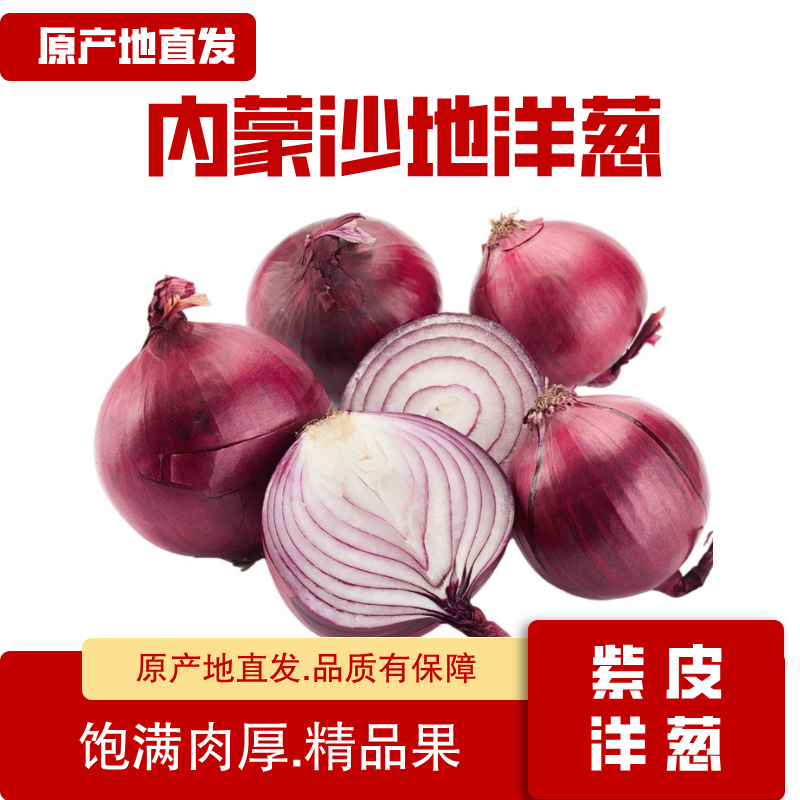 新鲜紫皮洋葱紫皮圆葱炒菜凉拌的时令蔬菜