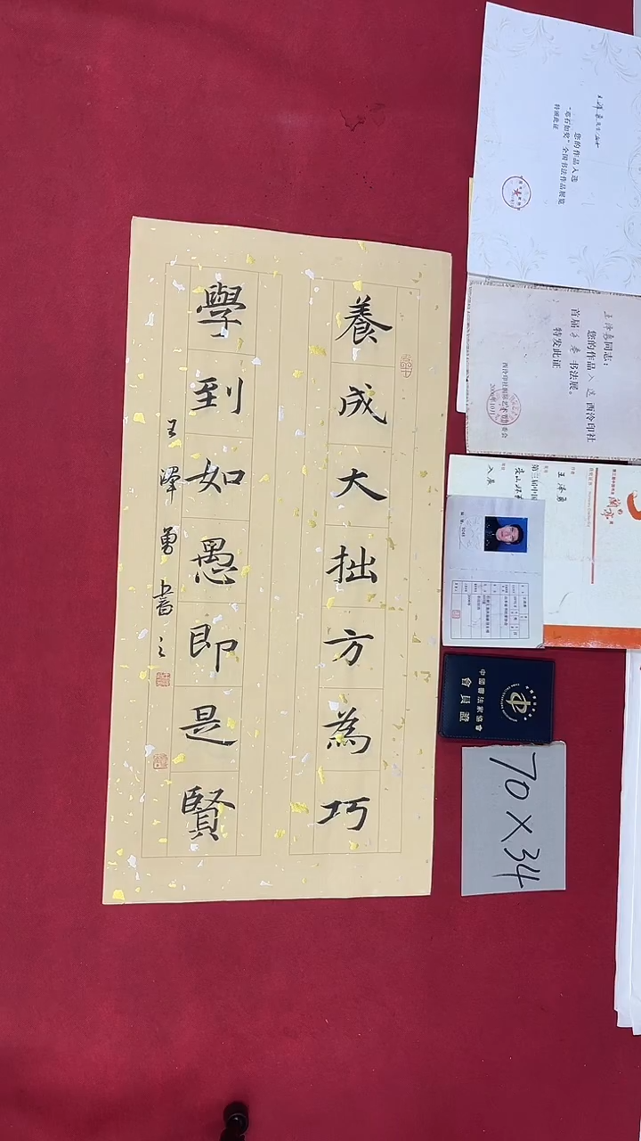书法王泽勇老师书法作品039