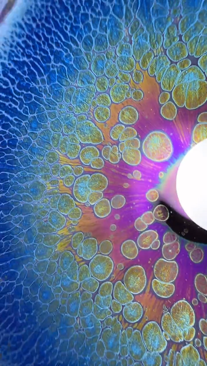 【闪购商品】茶盏6@建窑建盏谢贞生