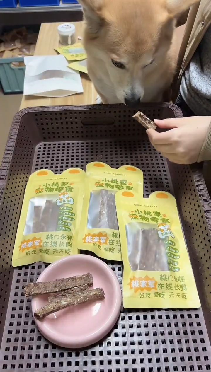 小桃家种籽燕麦奶棒3包