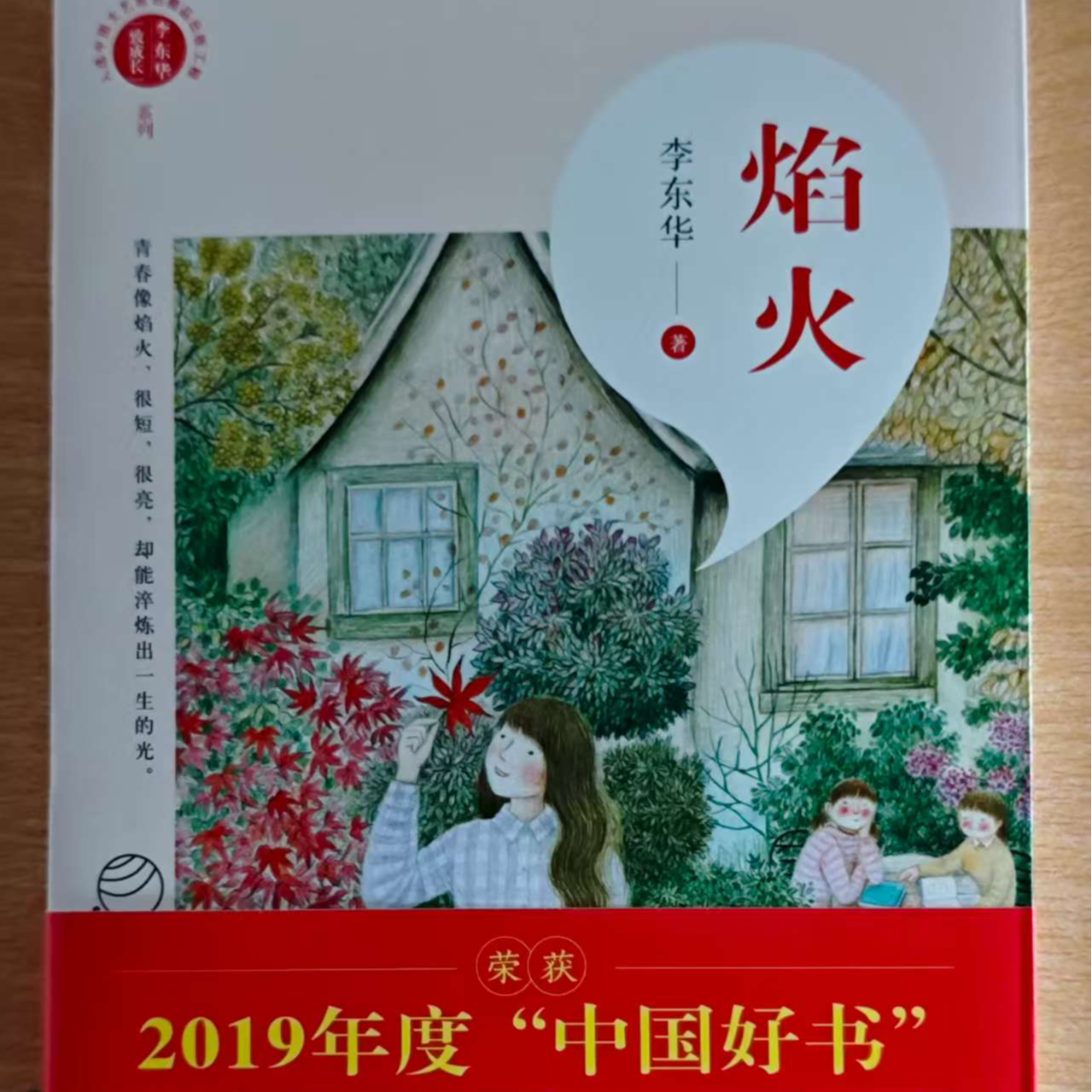 李东华“致成长”系列焰火课外读物