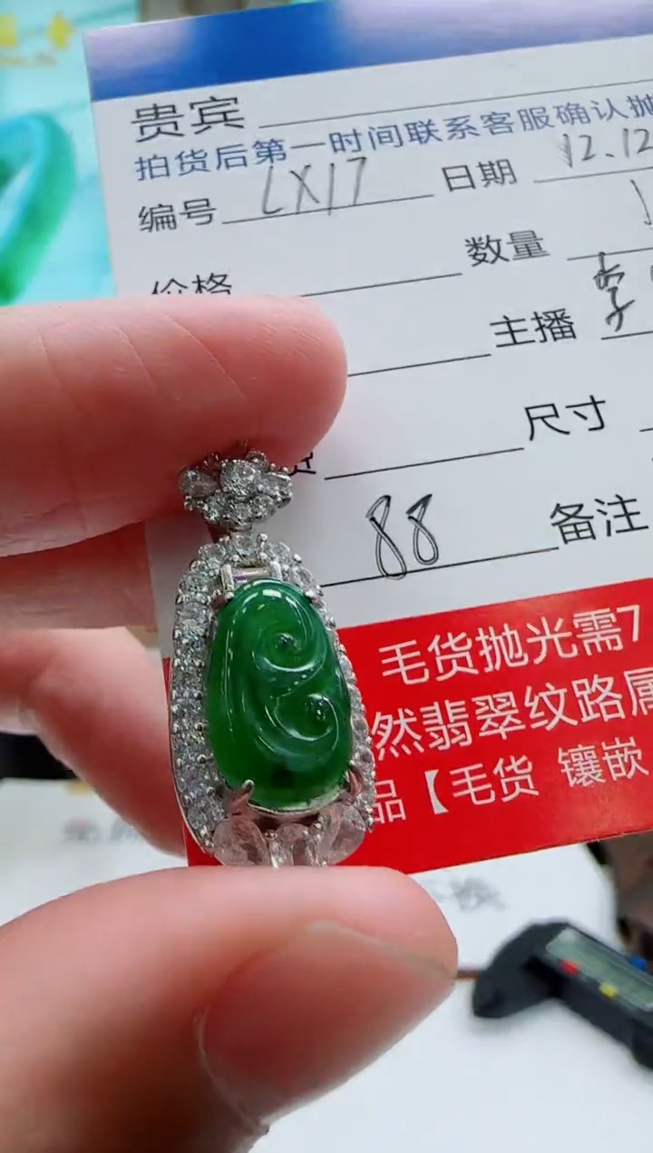 颈饰未镶嵌翡翠LX17翡翠吊坠-多样性发其一