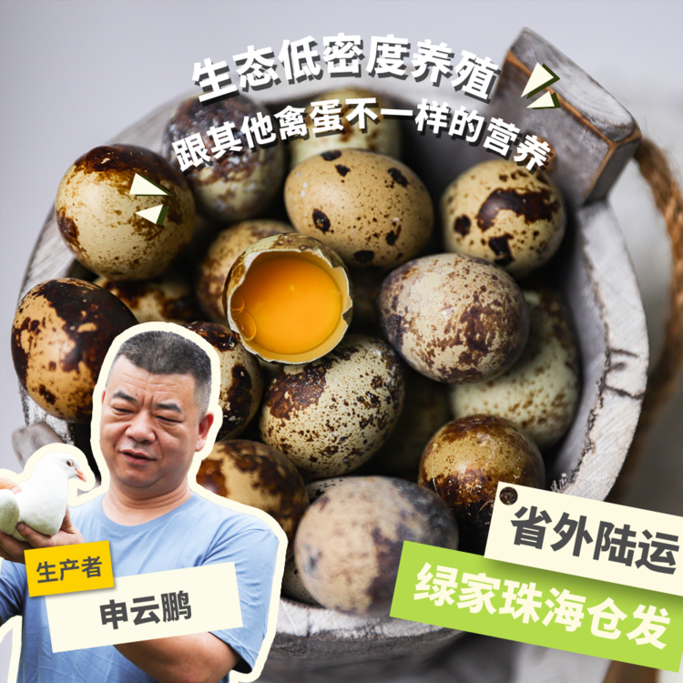生态鹌鹑蛋   500g/1KG绿手指份额农园