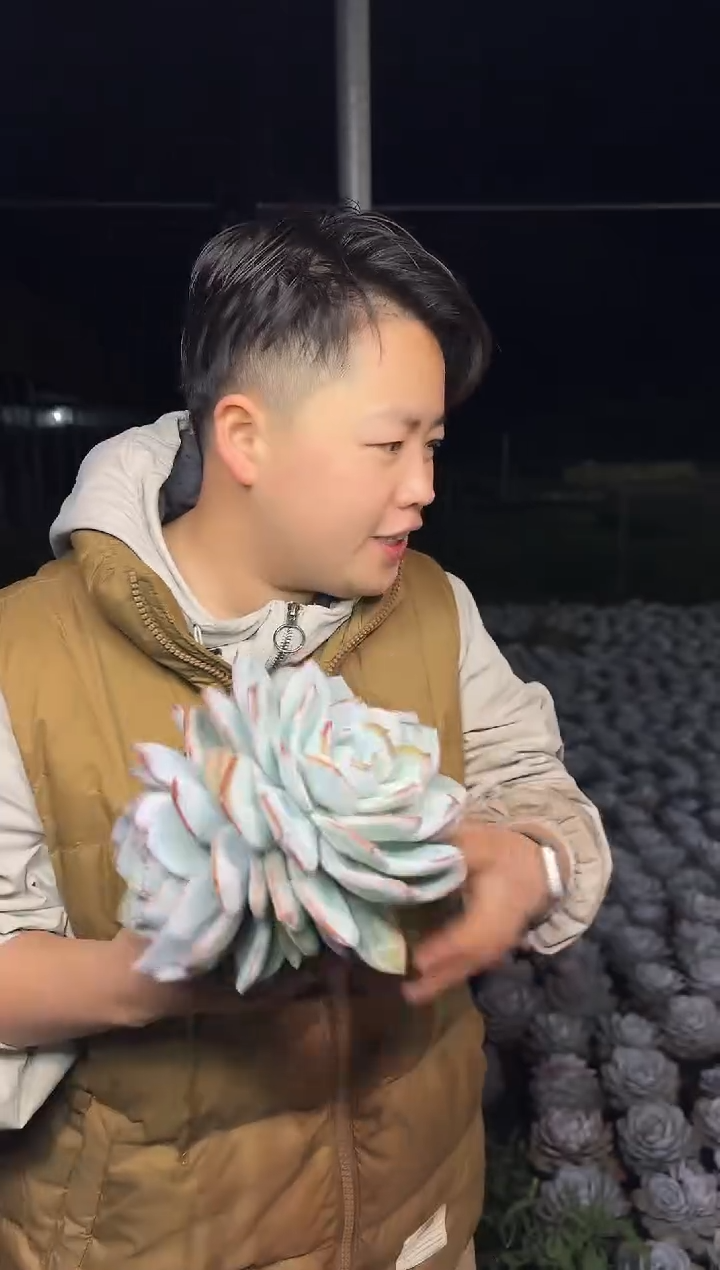 双头起大号奶茶9.99