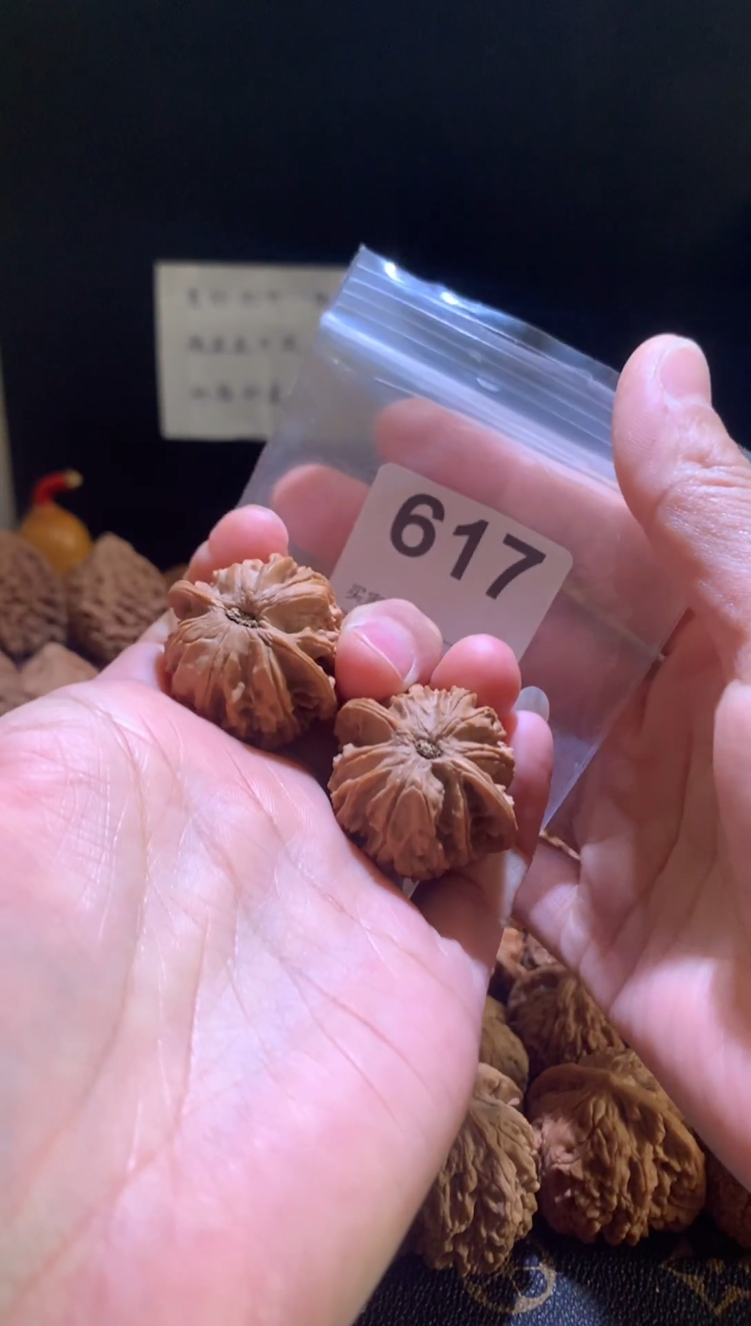 核桃35尺野生星辰，别打底影响二次销售不退不换