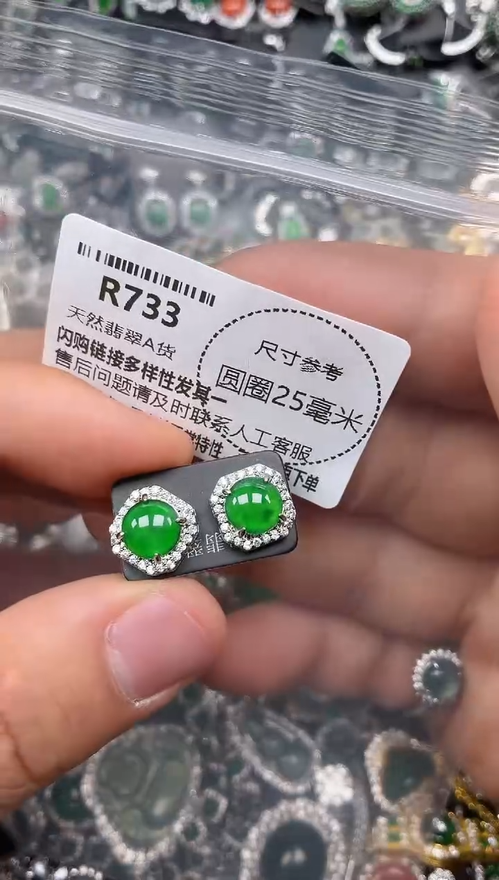 翡翠未镶嵌颈饰R733耳钉
