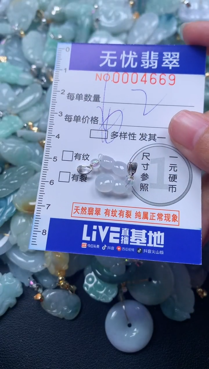 颈饰未镶嵌翡翠4669