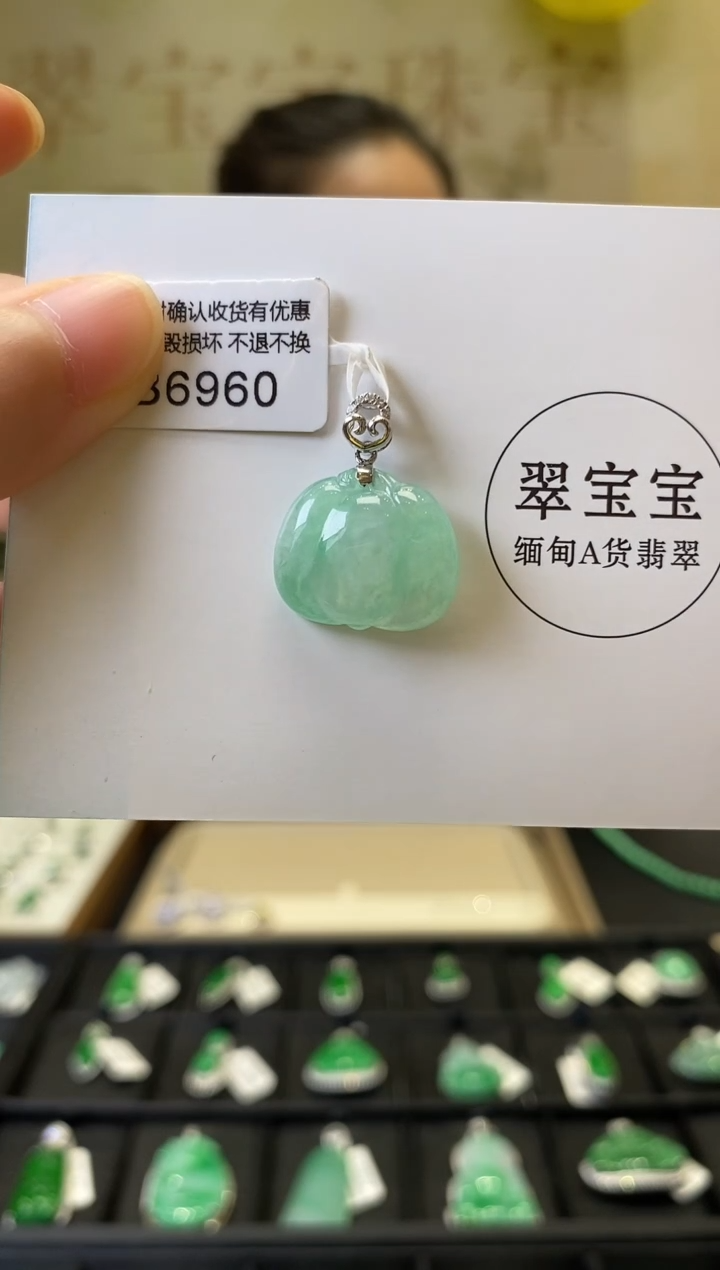 B6960 南瓜 含运营费