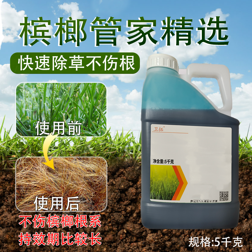 【槟榔管家不伤根精草直播间专用】