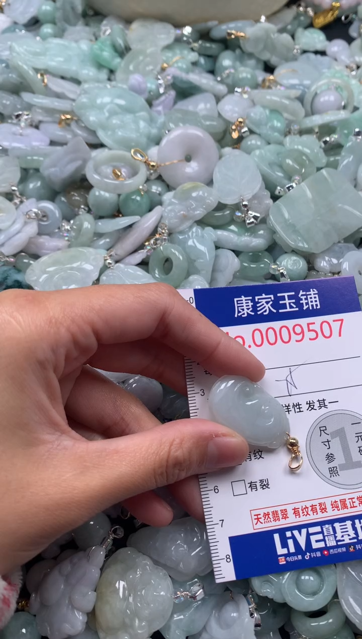 颈饰未镶嵌翡翠9507