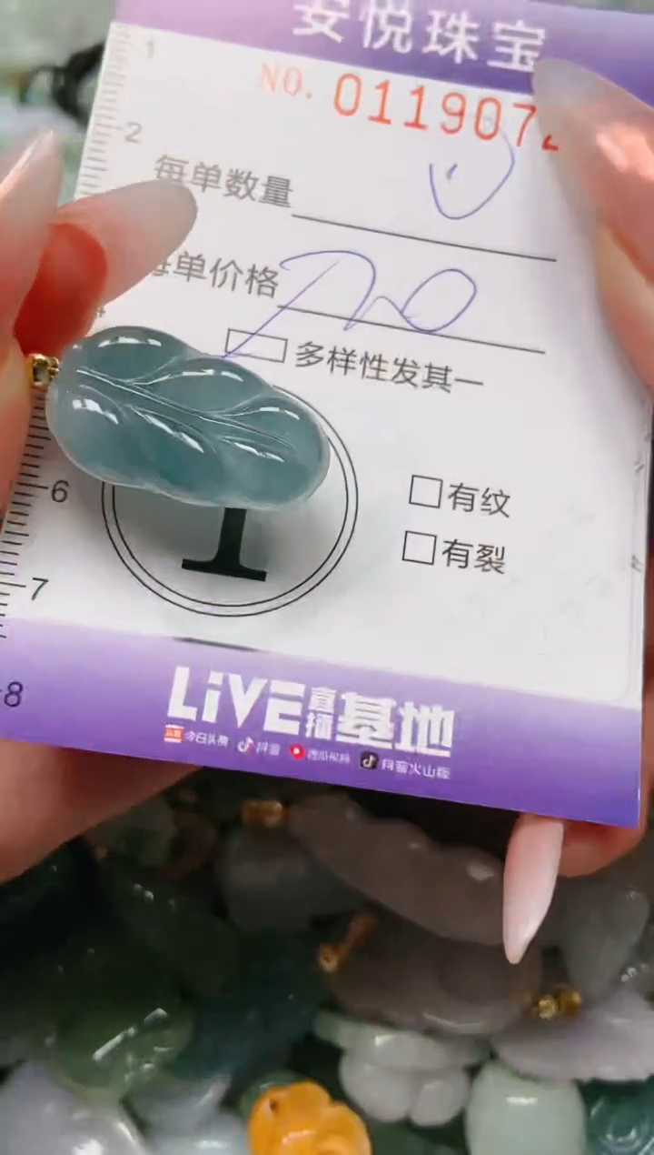 【闪购商品】翡翠颈饰未镶嵌闪购0119072多样性发其一