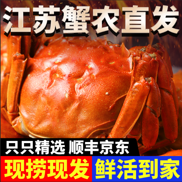 【买6送4到手10只】精选活蟹顺丰京东包邮洪泽湖河蟹2.2-2.5两蟹农直发现捞现发精品公蟹鲜活螃蟹海鲜