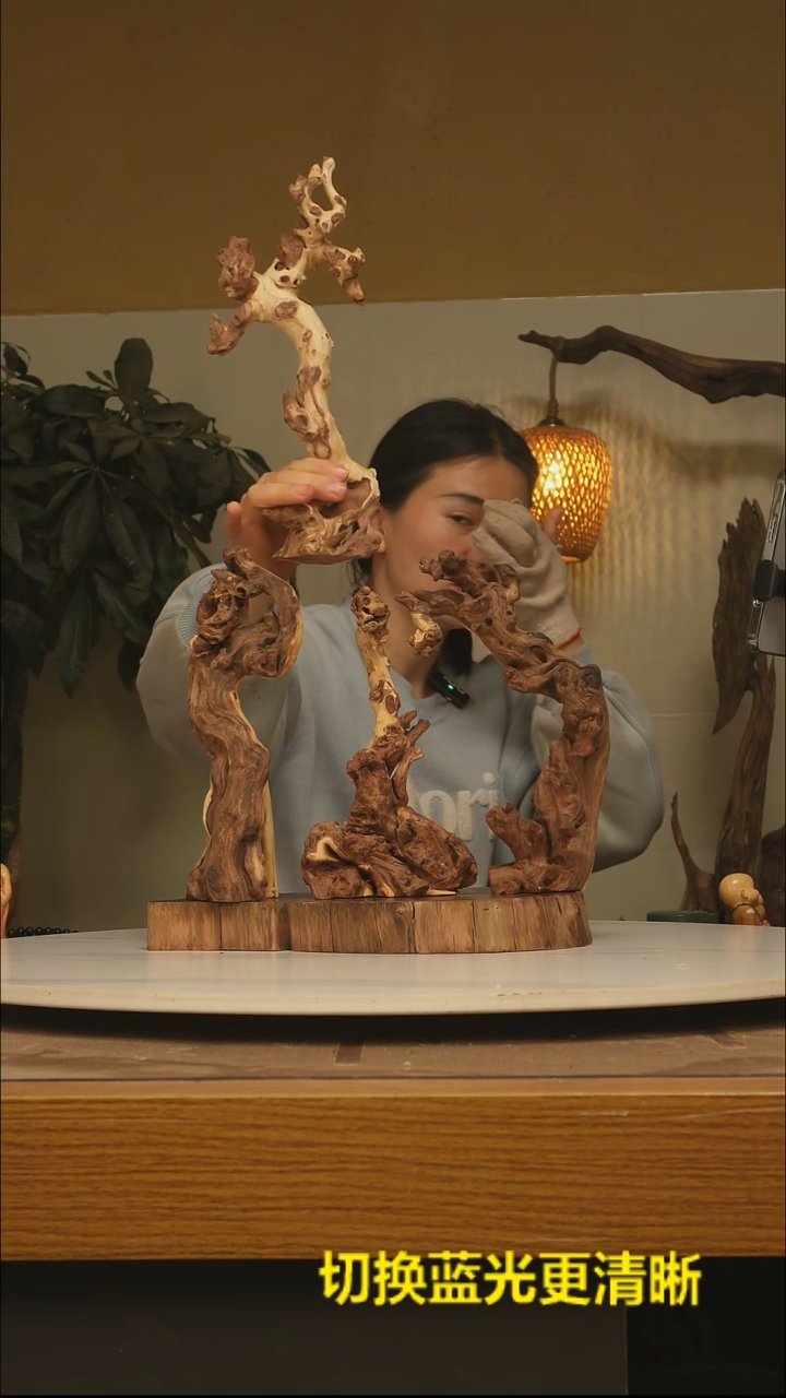 木大*根雕摆件类865*4