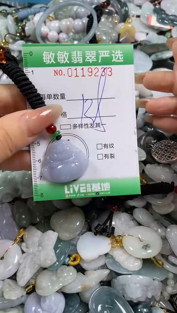 【闪购商品】翡翠颈饰未镶嵌闪购0119233