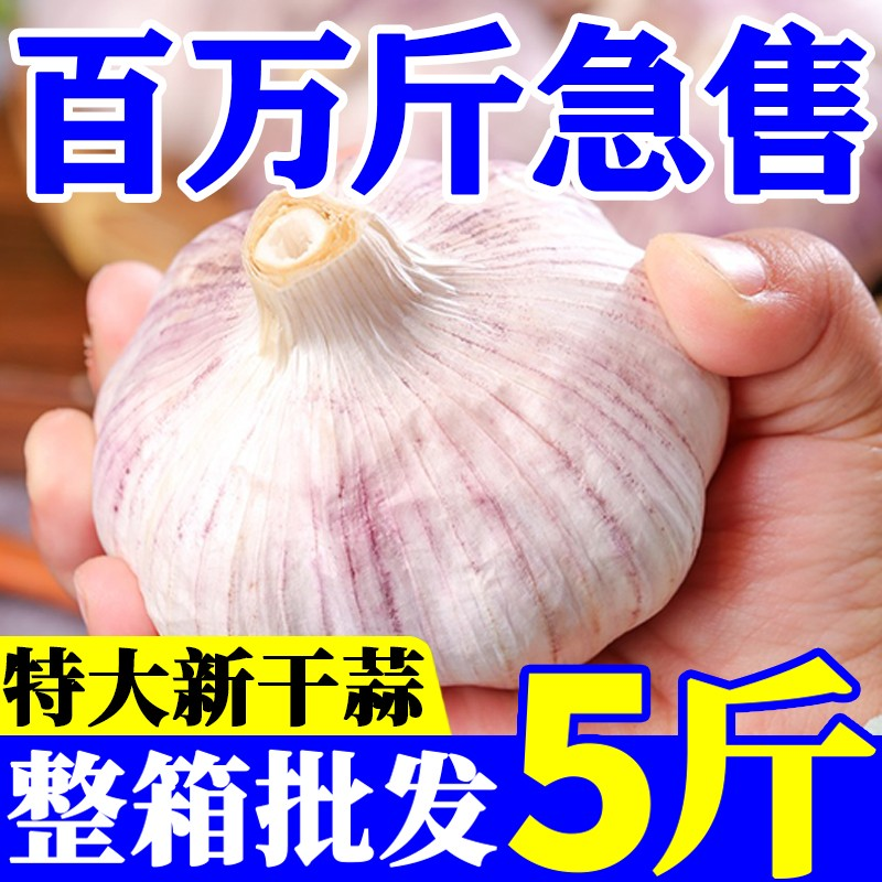 2025年新大蒜干大蒜辛辣提香农家多瓣大蒜