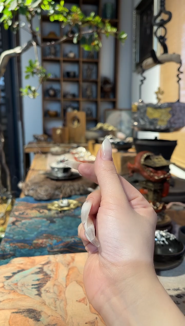 陶境秋哥斯拉茶宠