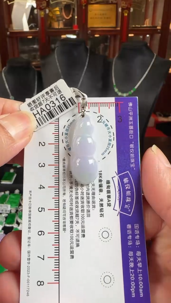 颈饰18K金镶嵌翡翠HA0316富贵豆