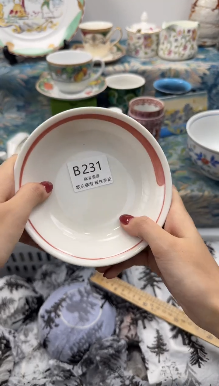 瓷片伍*           B231