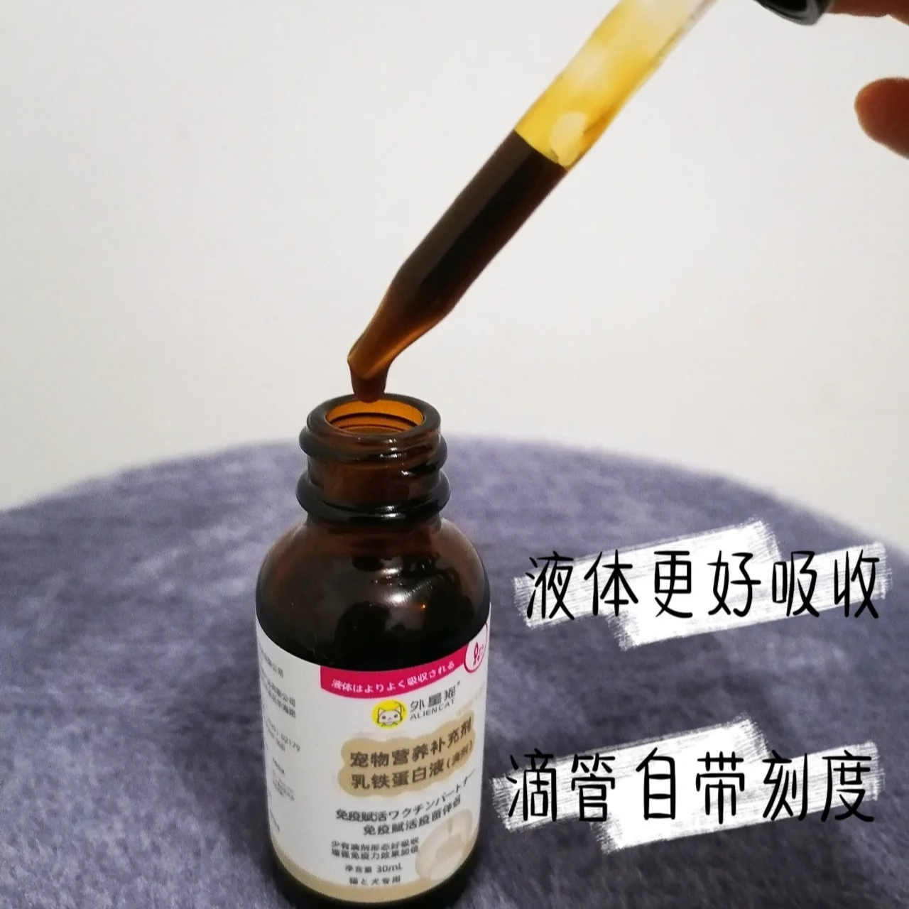 乳铁蛋白宠物狗狗营养品