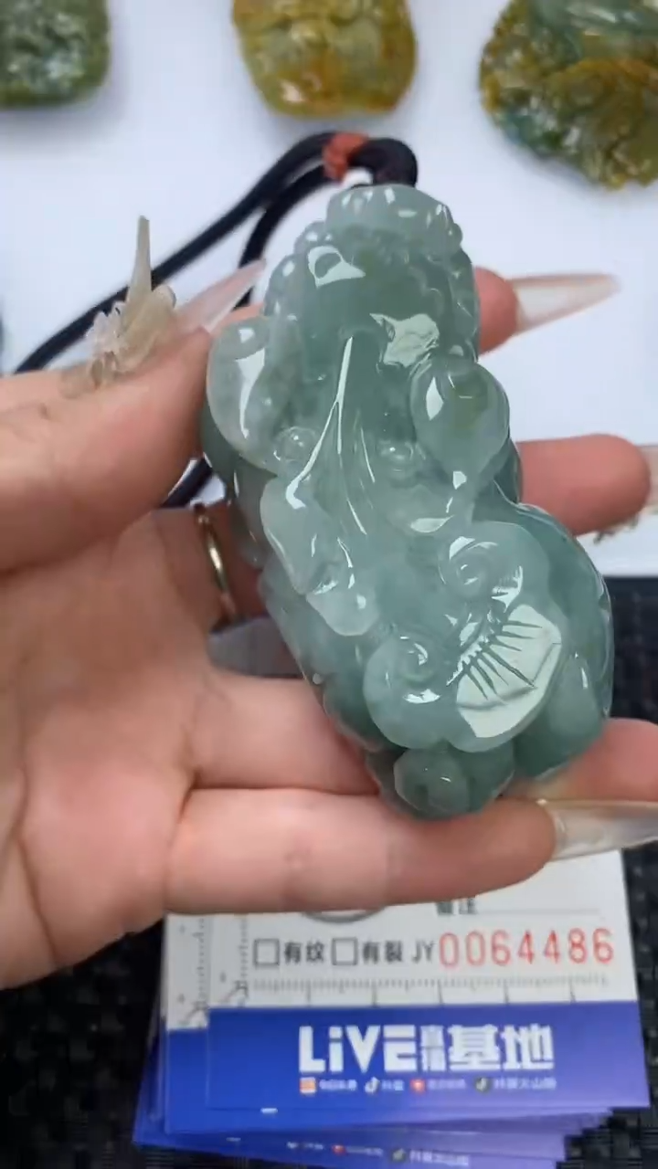【闪购商品】翡翠颈饰未镶嵌1111111111111111