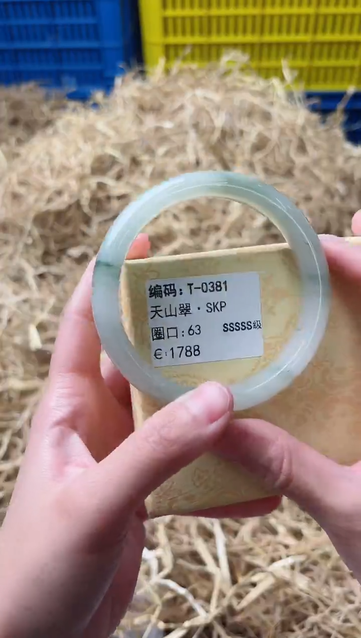 未镶嵌手镯石英质玉T-0381