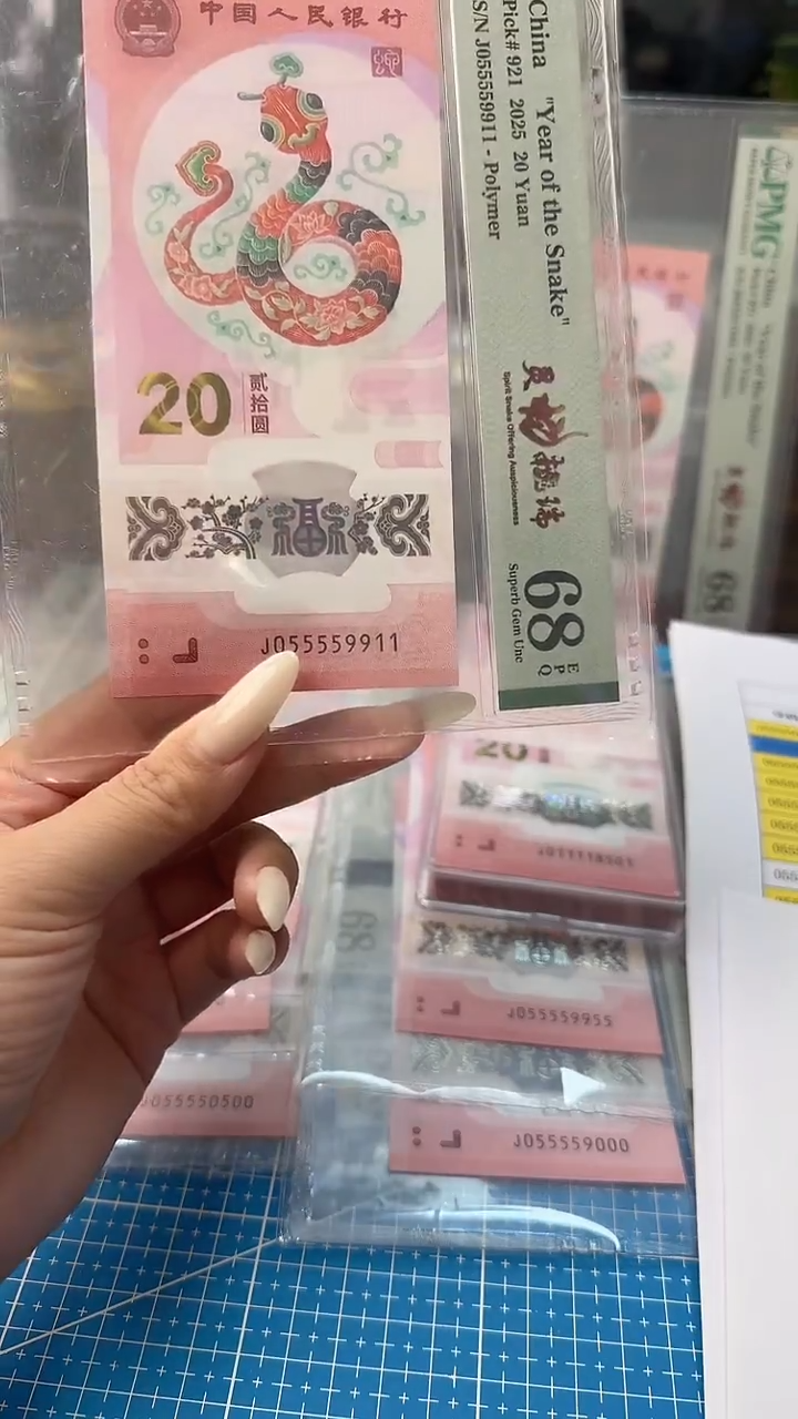 塑料PMG055559911金马号四连对
