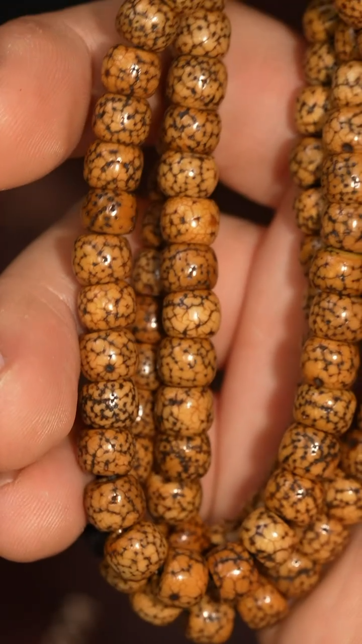 冲赛康胡子哥，藏传念珠161