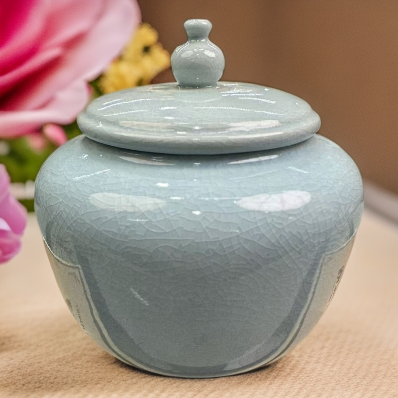 精美陶瓷罐装-老白茶-30克【1罐】多款罐子随机发