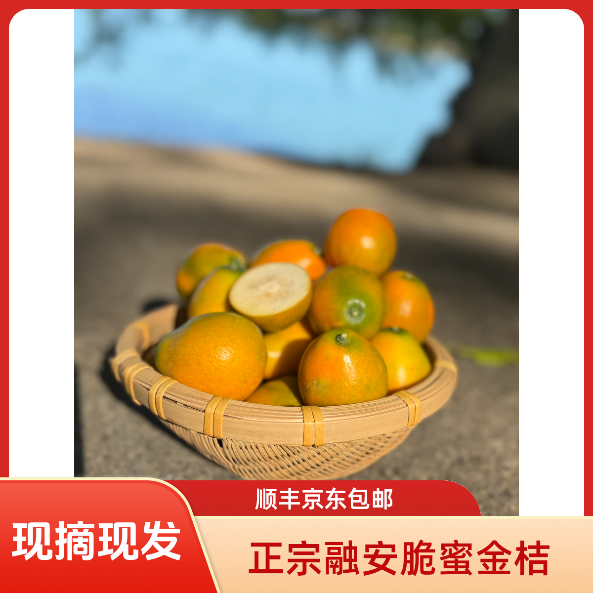广西融安脆蜜金柑顺丰京东包邮新鲜应季水果脆甜带皮都可吃