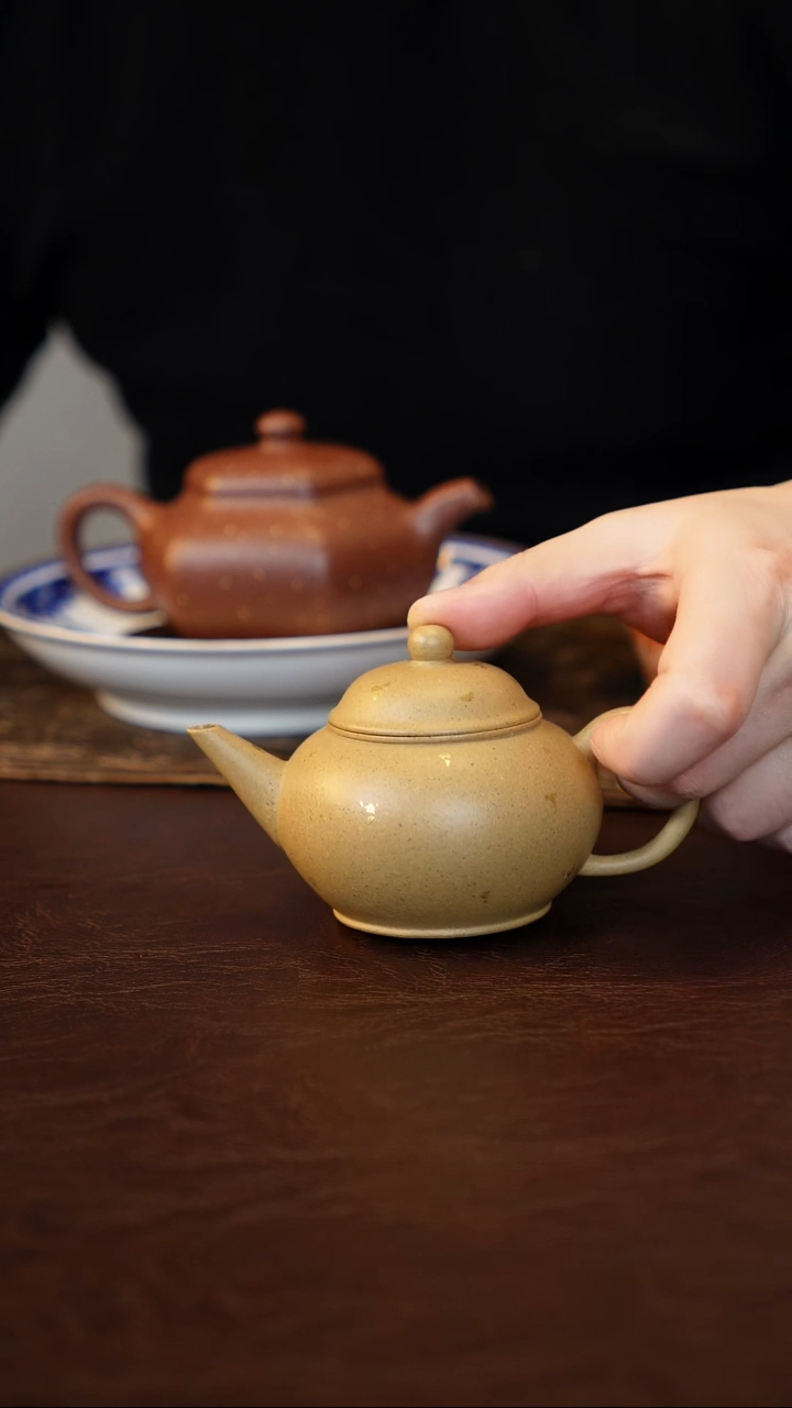 水平壶本绿洒金140cc