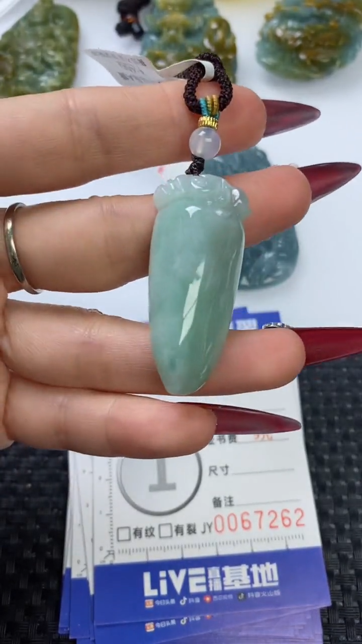 【闪购商品】翡翠颈饰未镶嵌1111111111111111