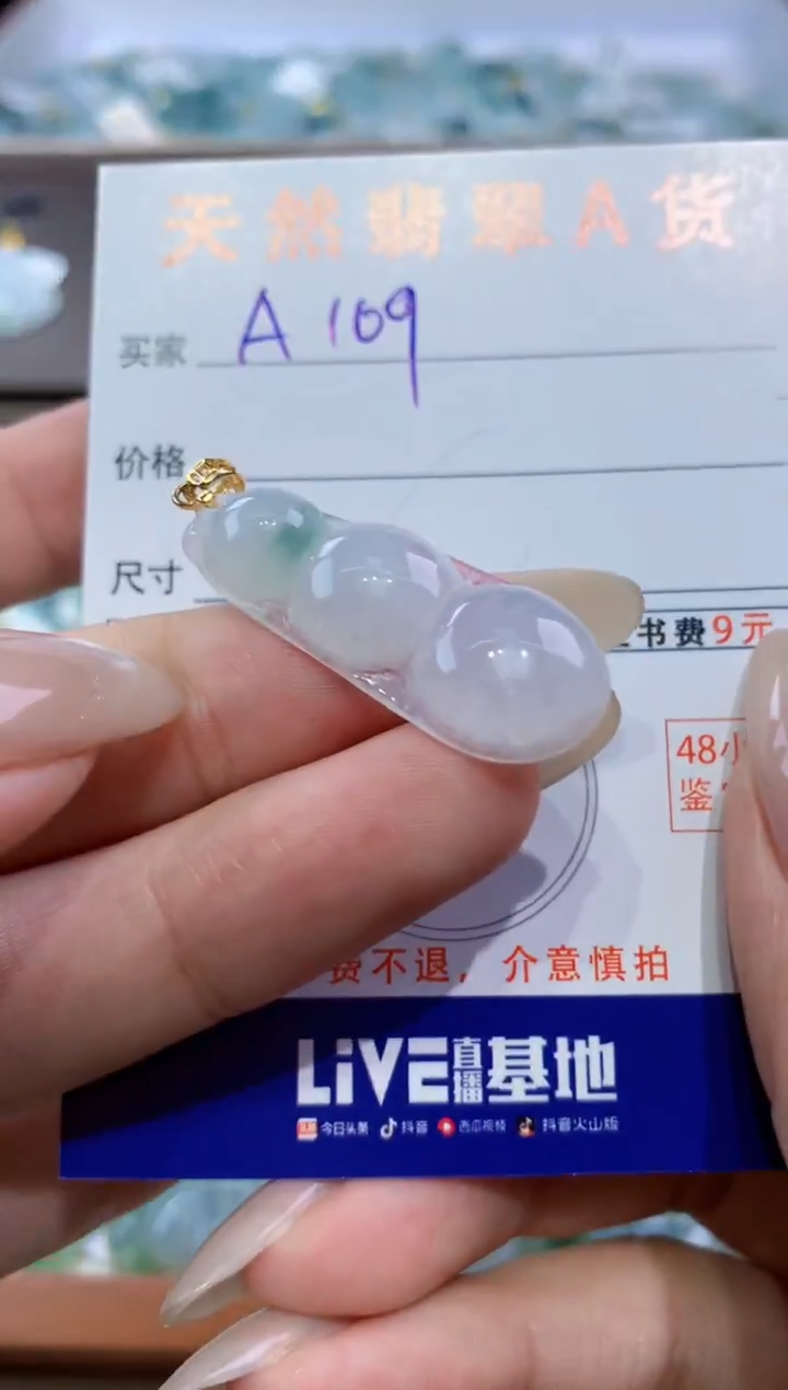 颈饰未镶嵌翡翠天然翡翠A货挂件