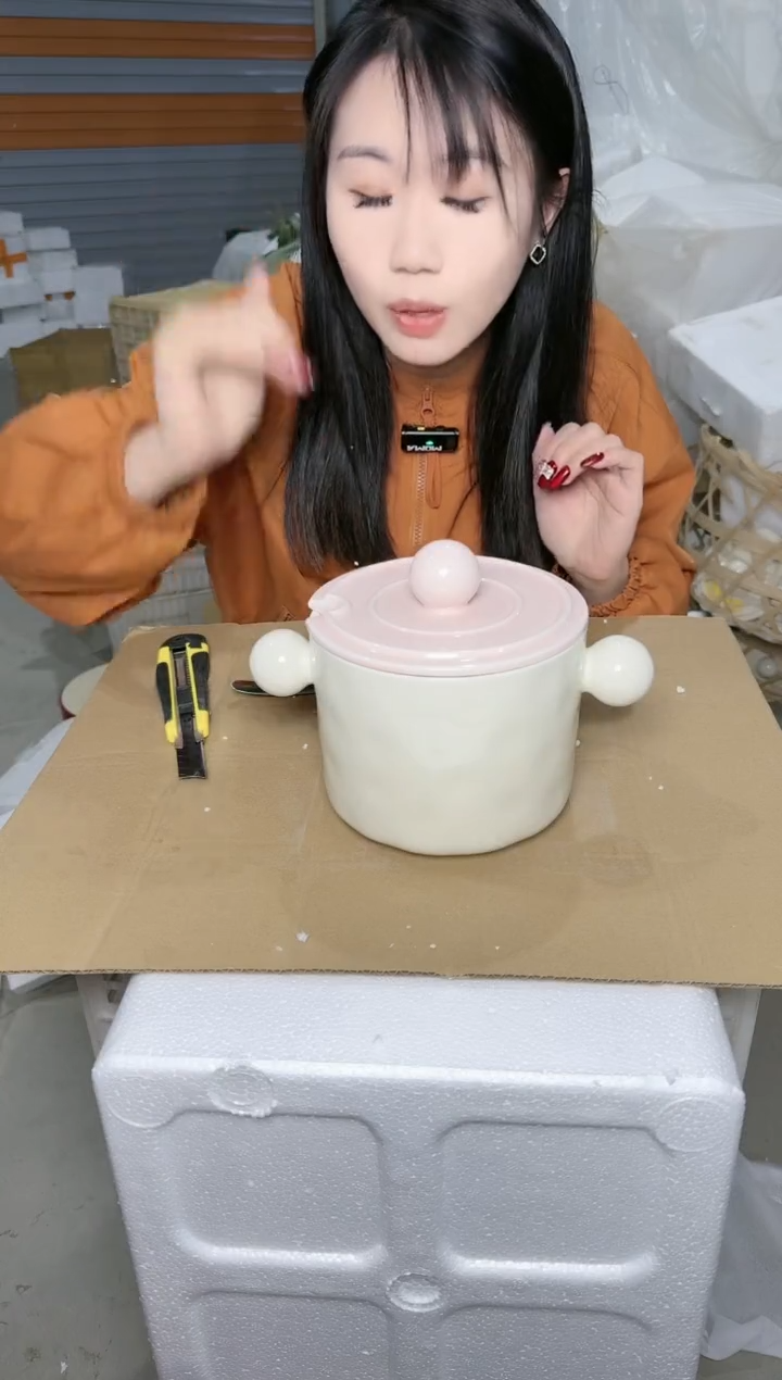 【闪购商品】瓷片微瑕陶瓷餐具20