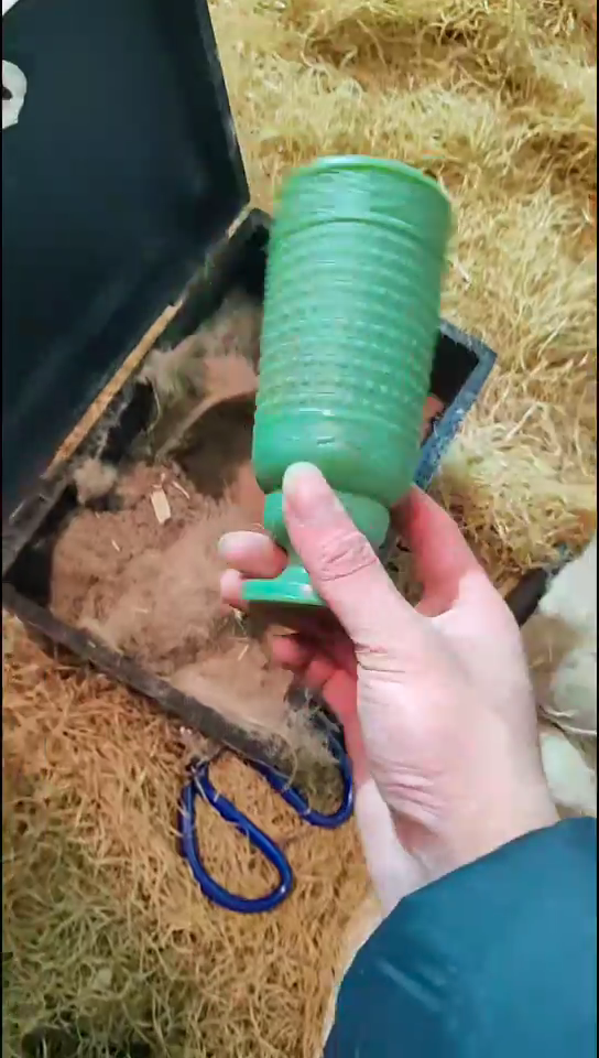 木1个绿色蝌蚪文杯子带盒子