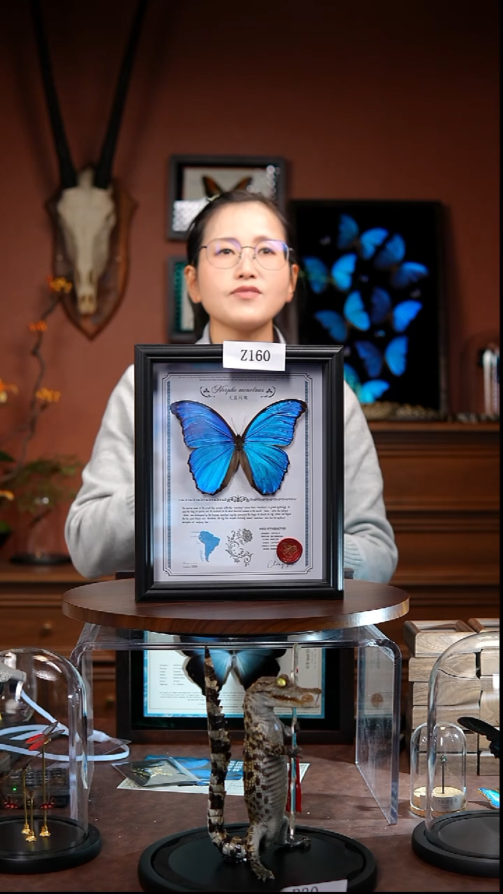 Z160    大蓝闪   微瑕拍下不退不换