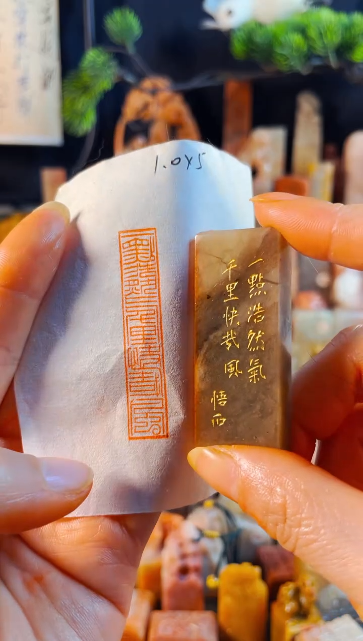 巴林石印石手工篆刻《一点浩然气千...》