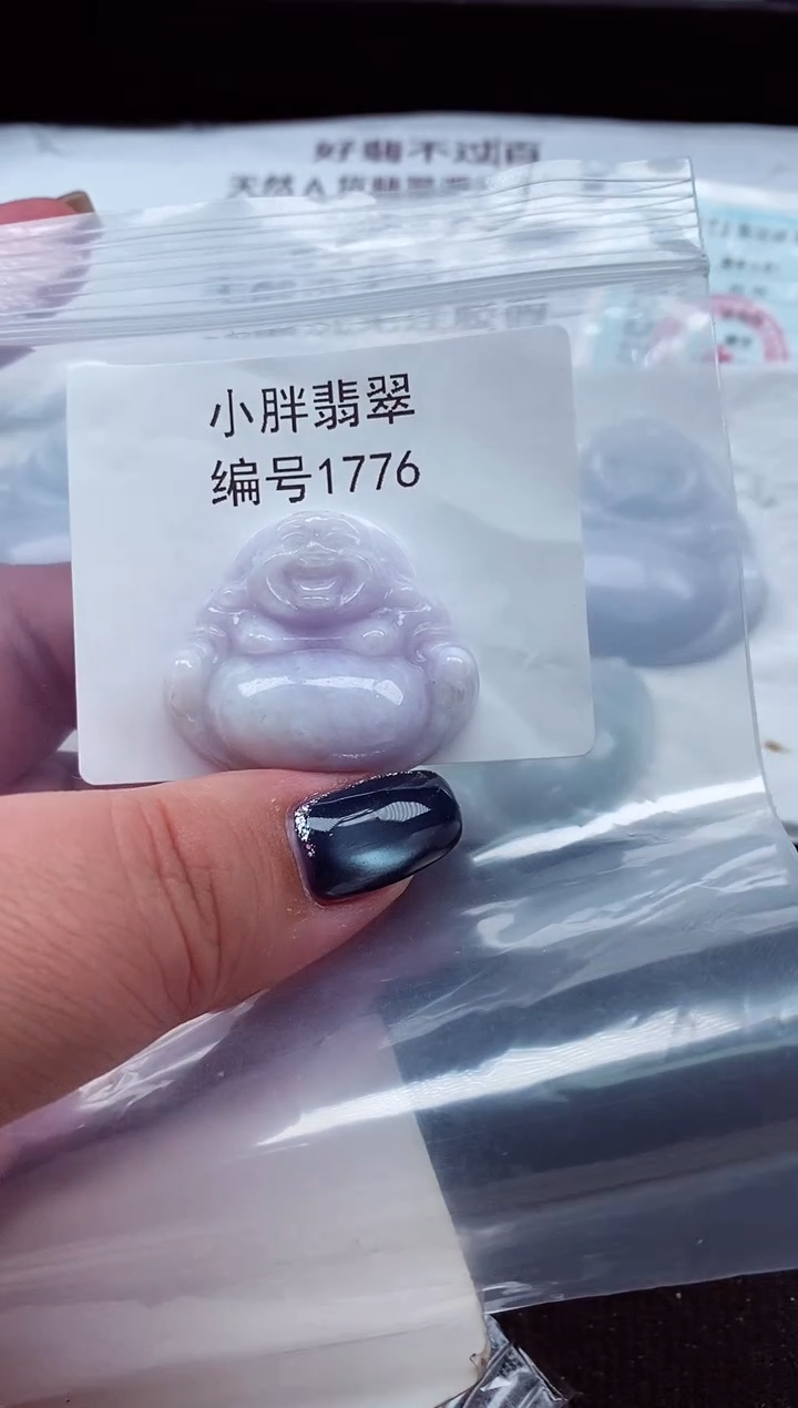 颈饰未镶嵌翡翠缅甸天然A货翡翠1776