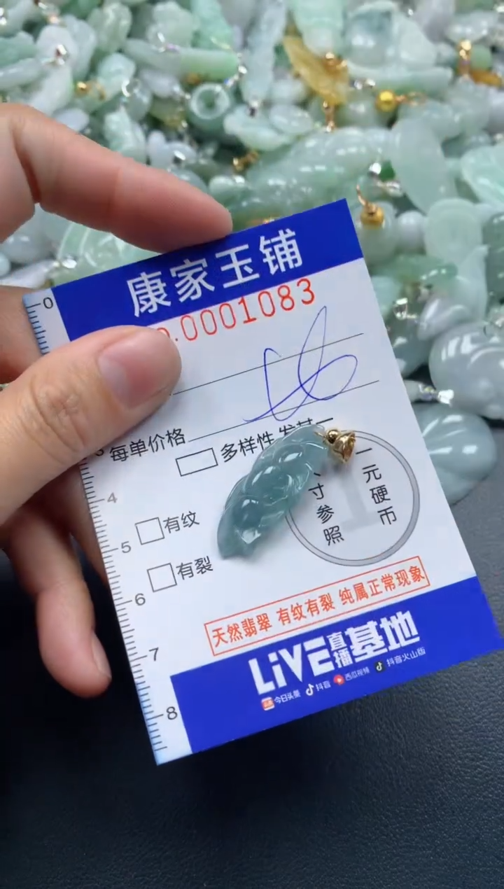 颈饰未镶嵌翡翠1083