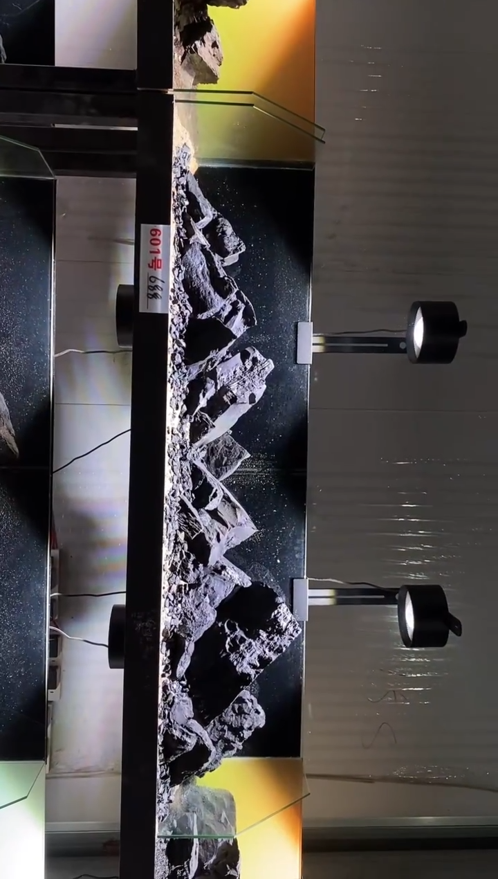 601号鱼缸造景（不含底砂）