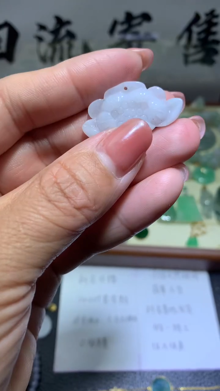 【闪购商品】翡翠颈饰未镶嵌 048天然翡翠缅甸A货