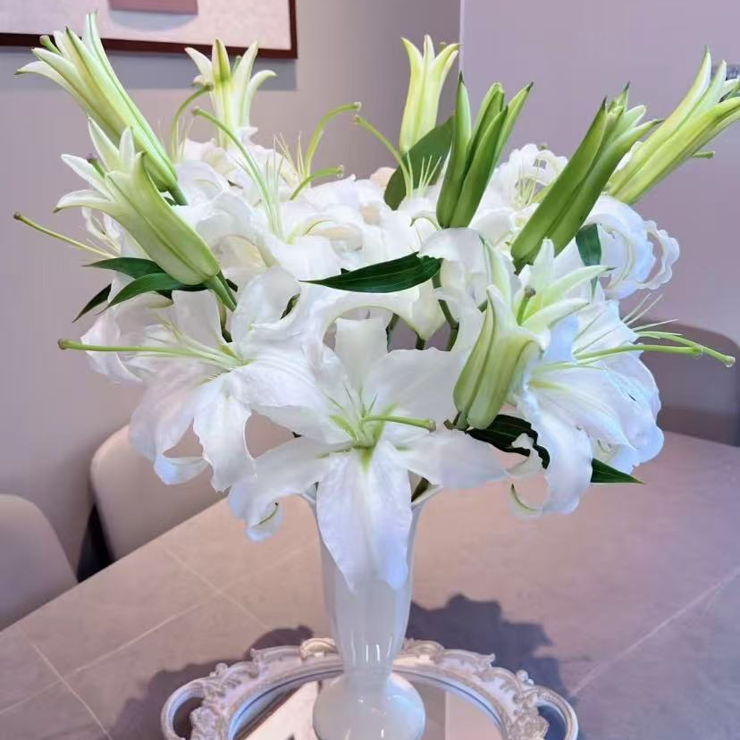 西伯利亚香水百合 【三单升级京东或顺丰】 云南基地直发