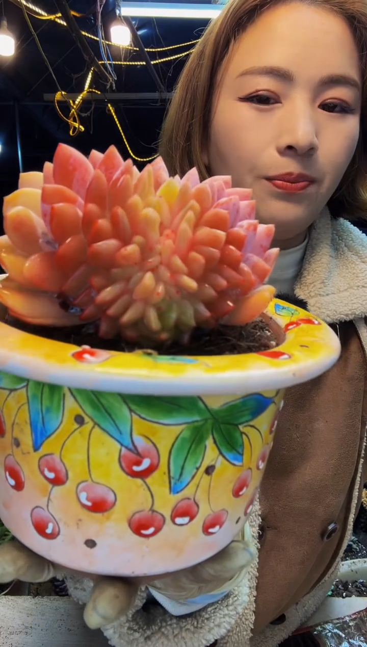 全状态橙梦露缀脱土包邮