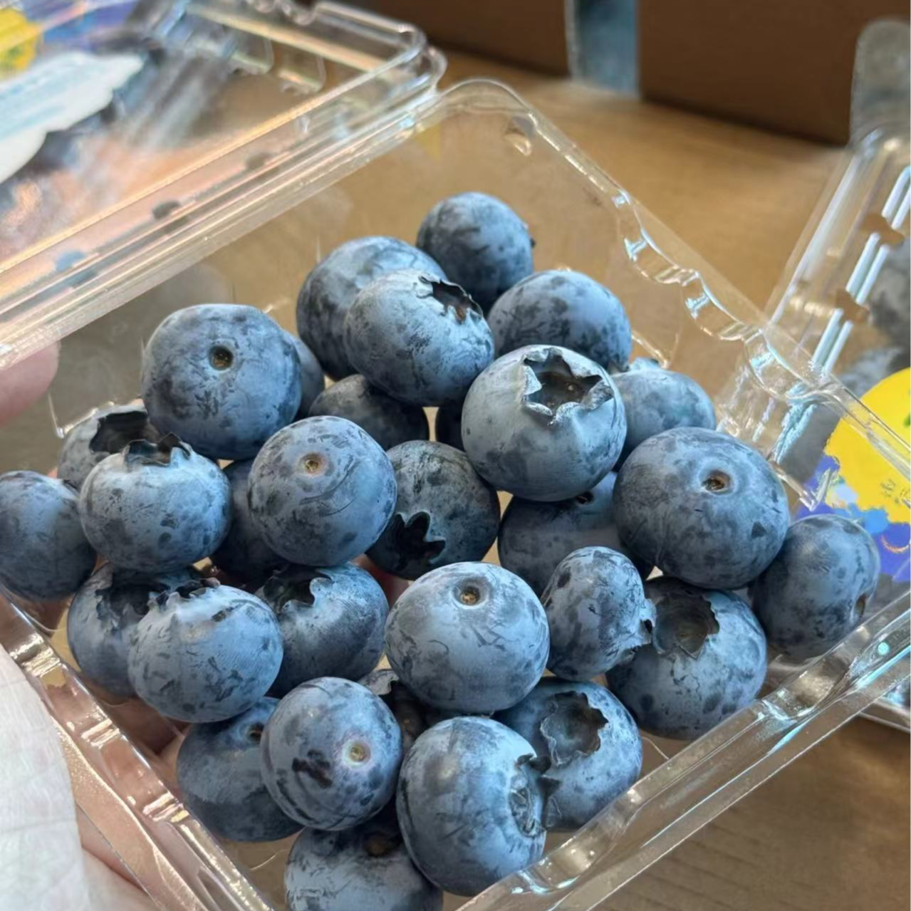 【顺丰包邮】怡颗莓0914mm＋1500克12盒蓝莓浙江省