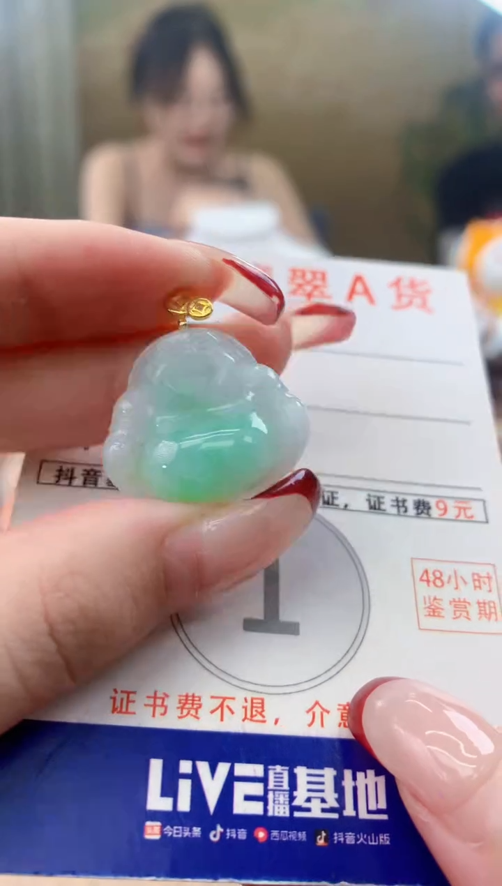 颈饰未镶嵌翡翠天然A货翡翠挂件