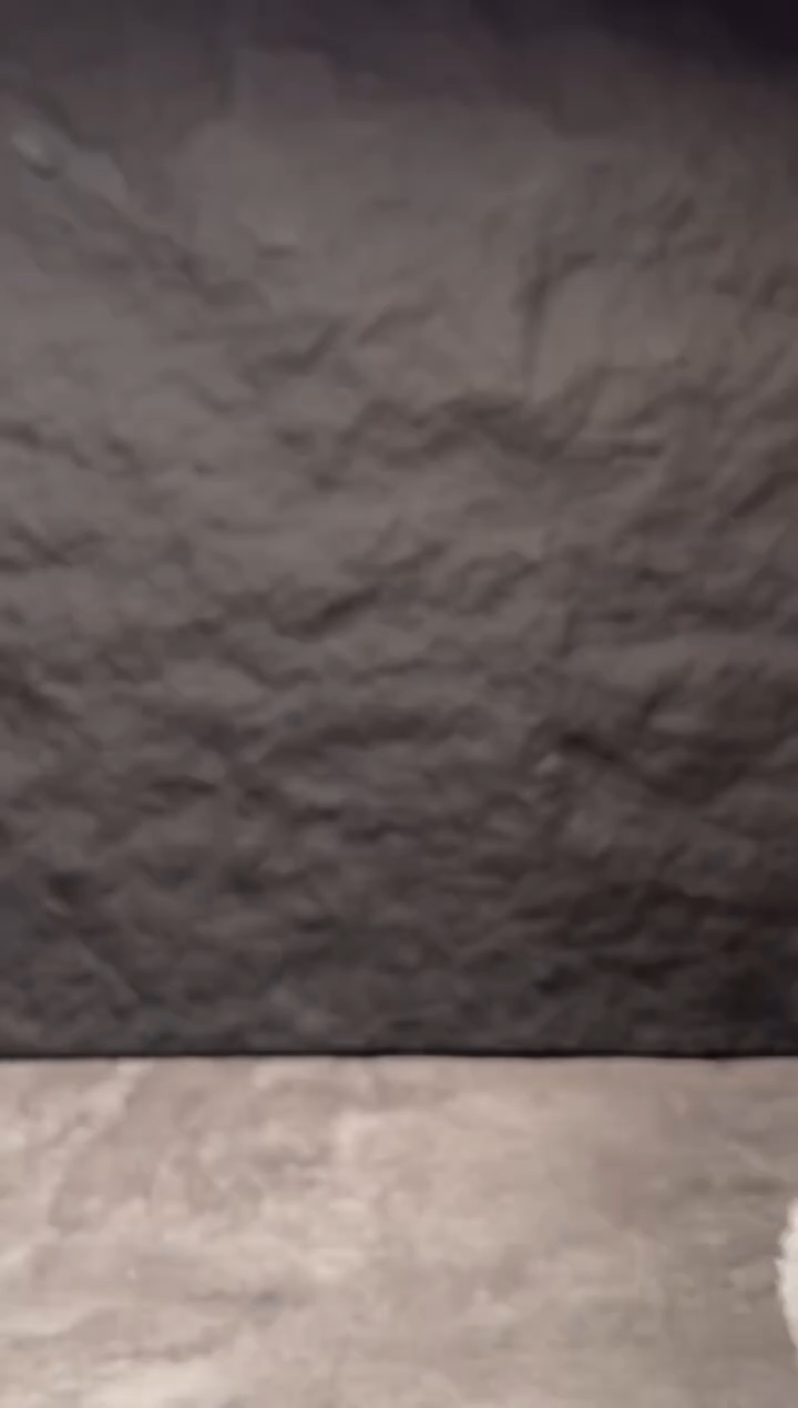 吊坠文玩核桃龙****】南将