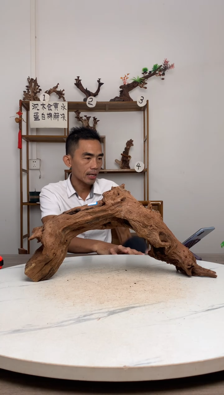 粤****少鱼缸造景沉木摆件