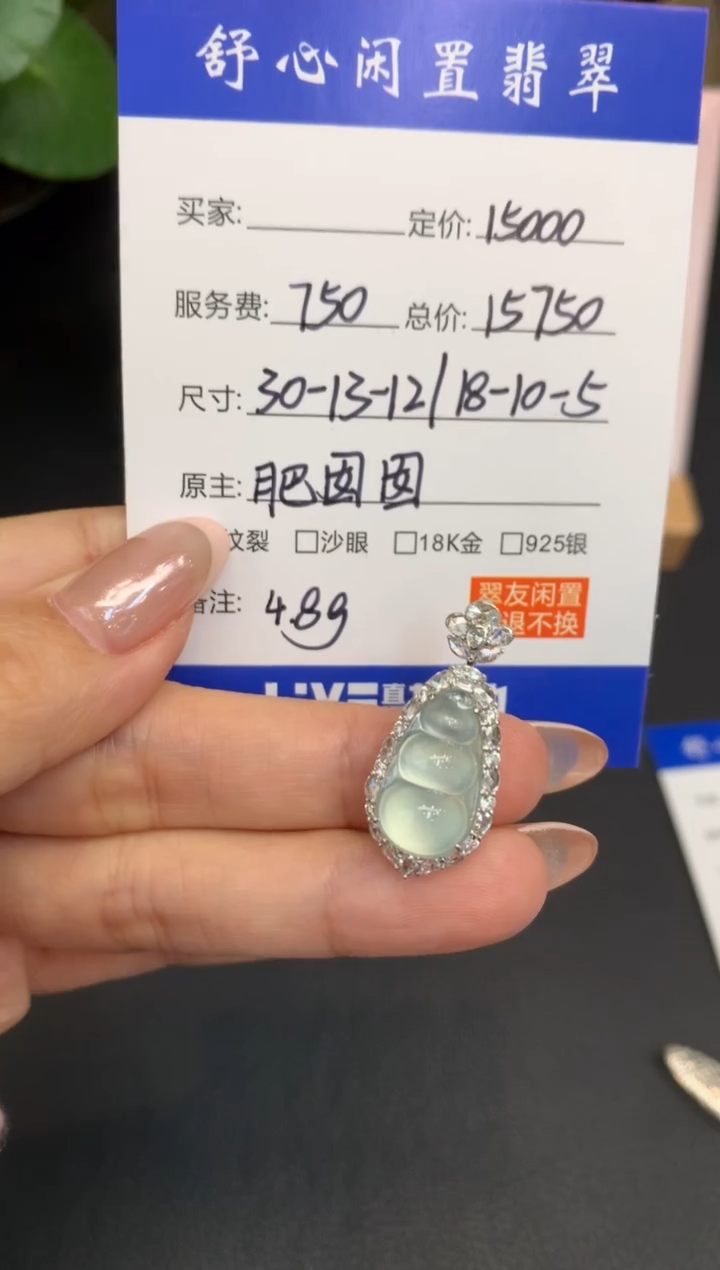 18K金镶嵌定制翡翠?****️Q156