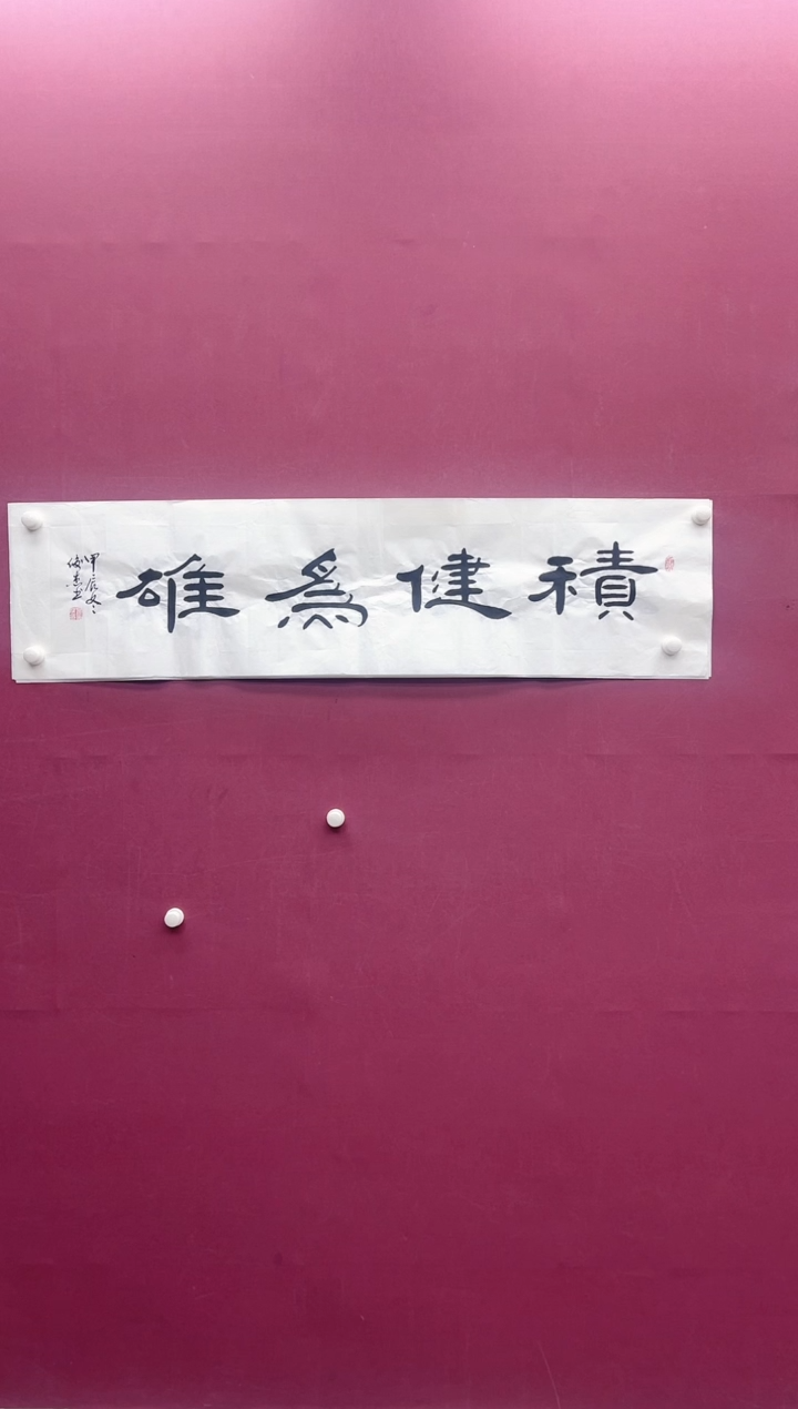 【闪购商品】书法积健为雄书法