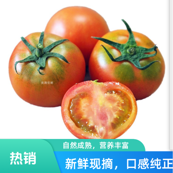 铁皮西红柿约500g同城配送粉果番茄山西省